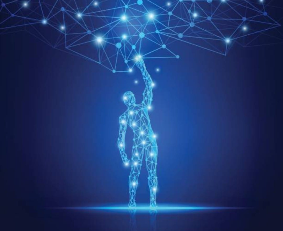 Why Invest in Noyaxi